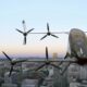 Urban Air Mobility: The Sky’s New Roads